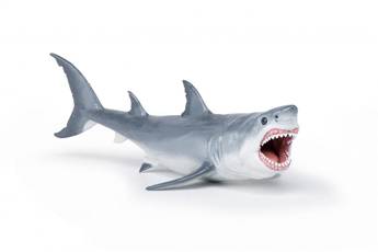 Megalodon