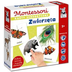 Montessori. Karty sensoryczne. Zwierzęta 2+