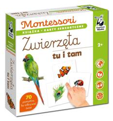 Montessori. Zwierzęta tu i tam. Karty sensoryczne