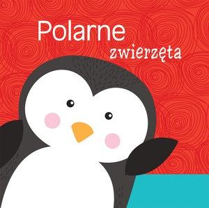 Polarne zwierzęta