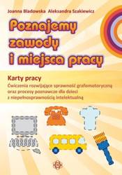 Poznajemy zawody i miejsca pracy KP