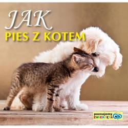 Poznajemy zwierzęta - Jak pies z kotem