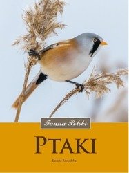 Ptaki. Fauna Polski