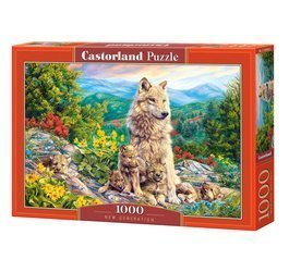 Puzzle 1000 New Generation CASTOR