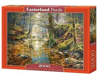 Puzzle 2000 Wspomnienie z jesiennego lasu CASTOR