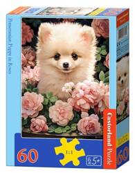 Puzzle 60 Pomeranian Puppy in Roses CASTOR