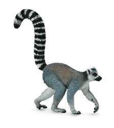 Ring-Tailed Lemur