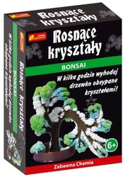 Rosnące kryształy. Bonsai