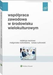 Współpraca zawodowa w środowisku wielokulturowym