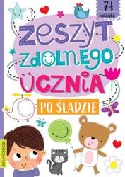 Zeszyt zdolnego ucznia Po śladzie Books and Fun