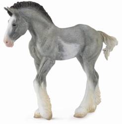 Źrebię Clydesdale Foal Blue Roan