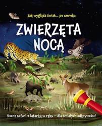 Zwierzęta nocą. Nocne safari z latarką w ręku