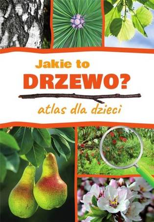 Atlas dla dzieci. Jakie to drzewo?