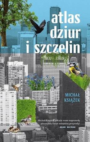 Atlas dziur i szczelin