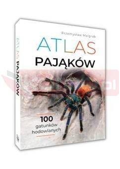 Atlas pająków