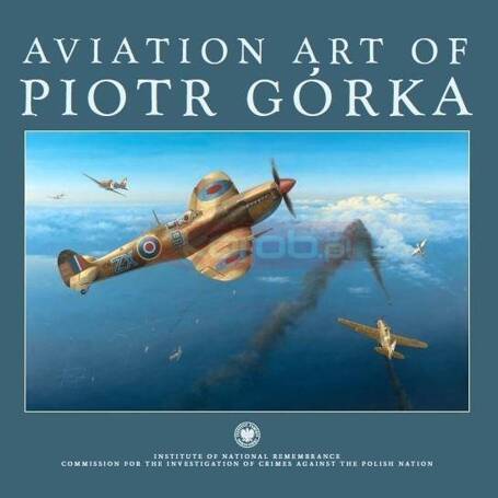 Aviation art of Piotr Górka