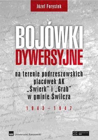 Bojówki dywersyjne TW