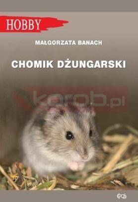 Chomik Dżungarski