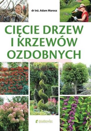 Cięcie drzew i krzewów ozdobnych