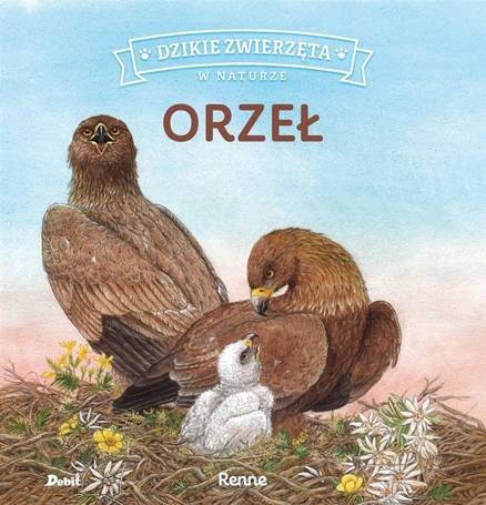 Dzikie zwierzęta w naturze. Orzeł