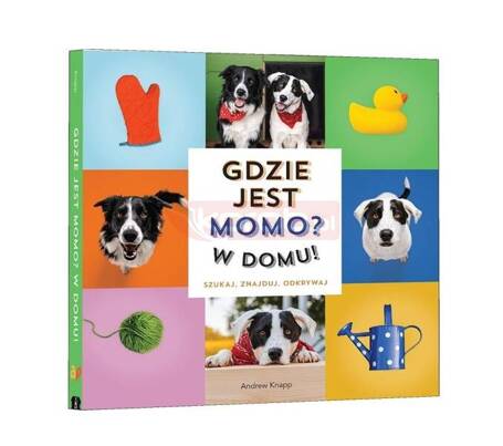 Gdzie jest Momo? W domu!