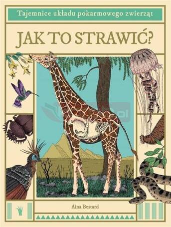 Jak to strawić? Tajemnice układu pokarmowego...