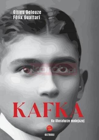 Kafka. Ku literaturze mniejszej