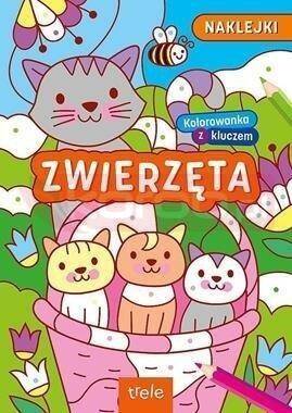 Kolorowanki z kluczem. Zwierzęta