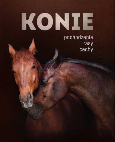 Konie. Pochodzenie, rasy, cechy