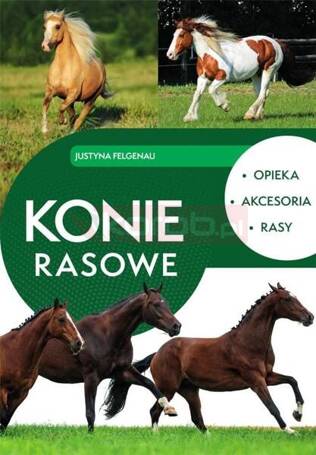 Konie rasowe