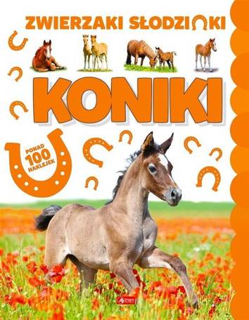 Koniki