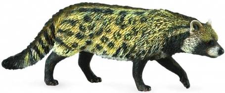 Kot Wiwera Civet African