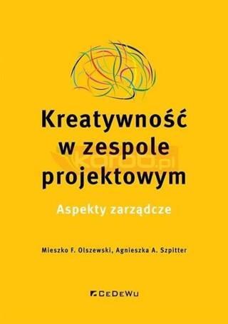 Kreatywność w zespole projektowym