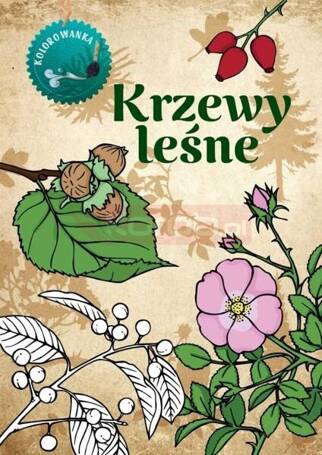 Krzewy leśne kolorowanka