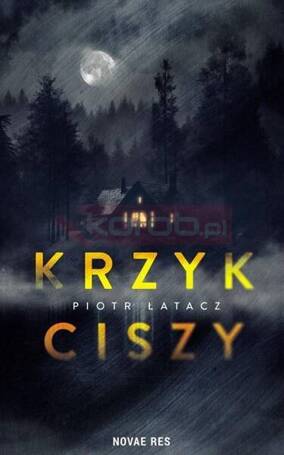 Krzyk ciszy