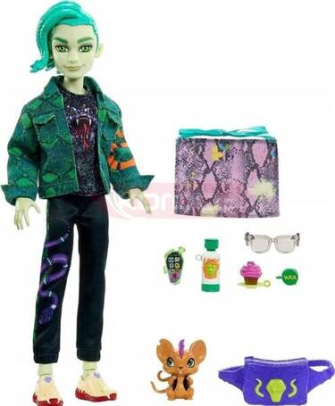 LALKA MONSTER HIGH DEUCE GORGON + akcesoria HHK56