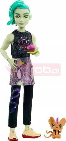 LALKA MONSTER HIGH DEUCE GORGON + akcesoria HHK56