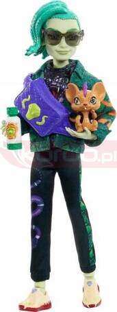 LALKA MONSTER HIGH DEUCE GORGON + akcesoria HHK56