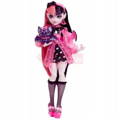 LALKA MONSTER HIGH DRACULAURA + akcesoria HHK51