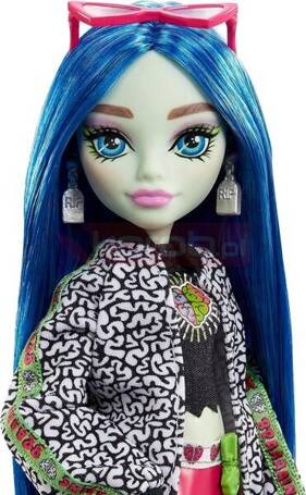 LALKA MONSTER HIGH GHOULIA YELPS + akcesoria HHK58