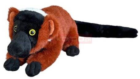 Lemur vari rudy 25cm