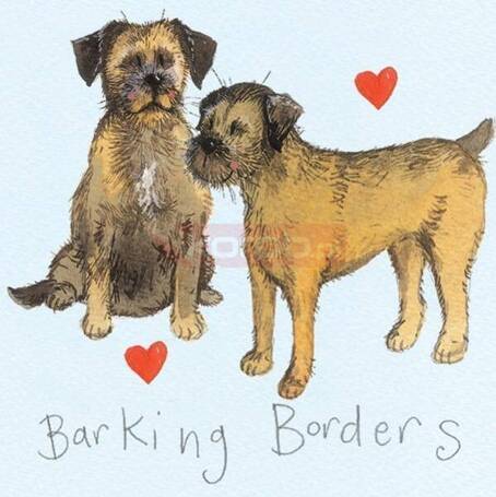 Magnes FM11 Border terrier