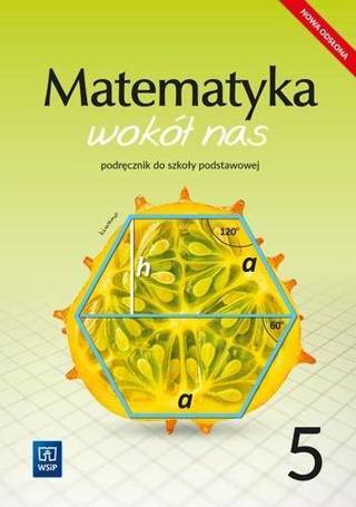 Matematyka Wokół nas SP 5 Podr. WSiP