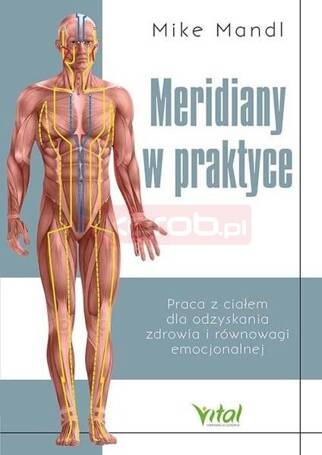 Meridiany w praktyce. Praca z ciałem dla odzyskani