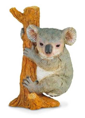 Miś koala wspinający się