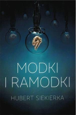 Modki i ramodki