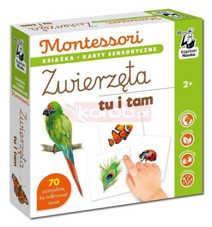 Montessori. Zwierzęta tu i tam. Karty sensoryczne