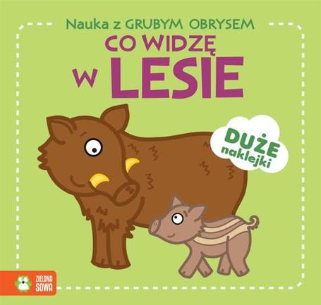 Nauka z grubym obrysem. Co widzę w lesie