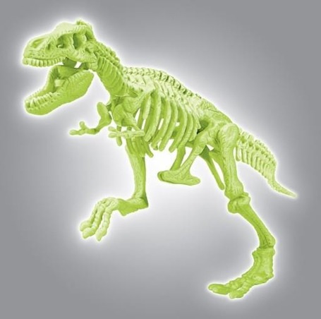 Naukowa zabawa Skamieniałości T-Rex fluorescencyjny