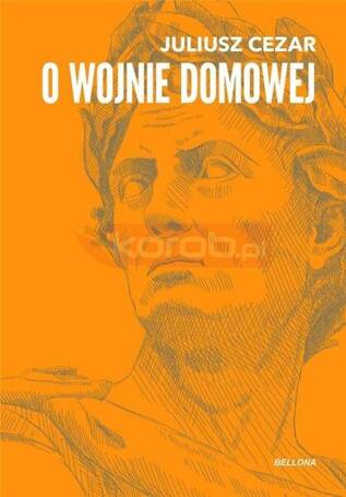 O wojnie domowej